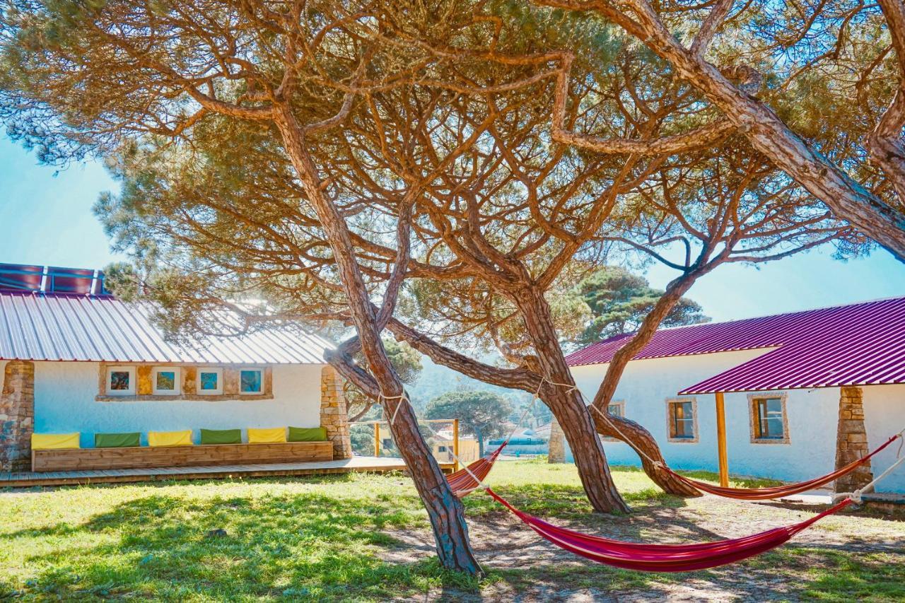 Oasis Backpackers Hostel Sintra Surf كولاريس المظهر الخارجي الصورة